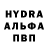 MDMA молли LogisticDax