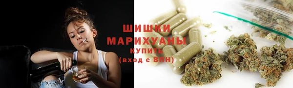прущая мука Арсеньев