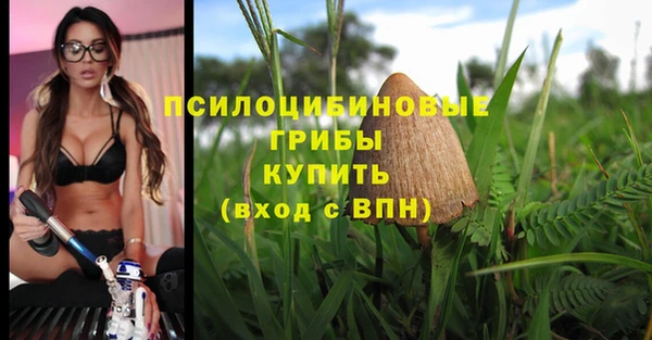 стафф Балабаново