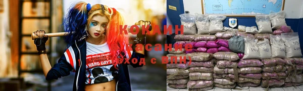 дживик Алзамай